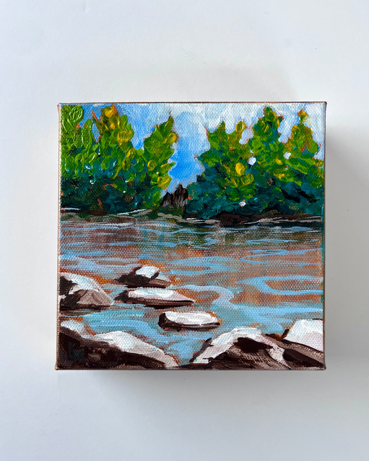River Shoreline