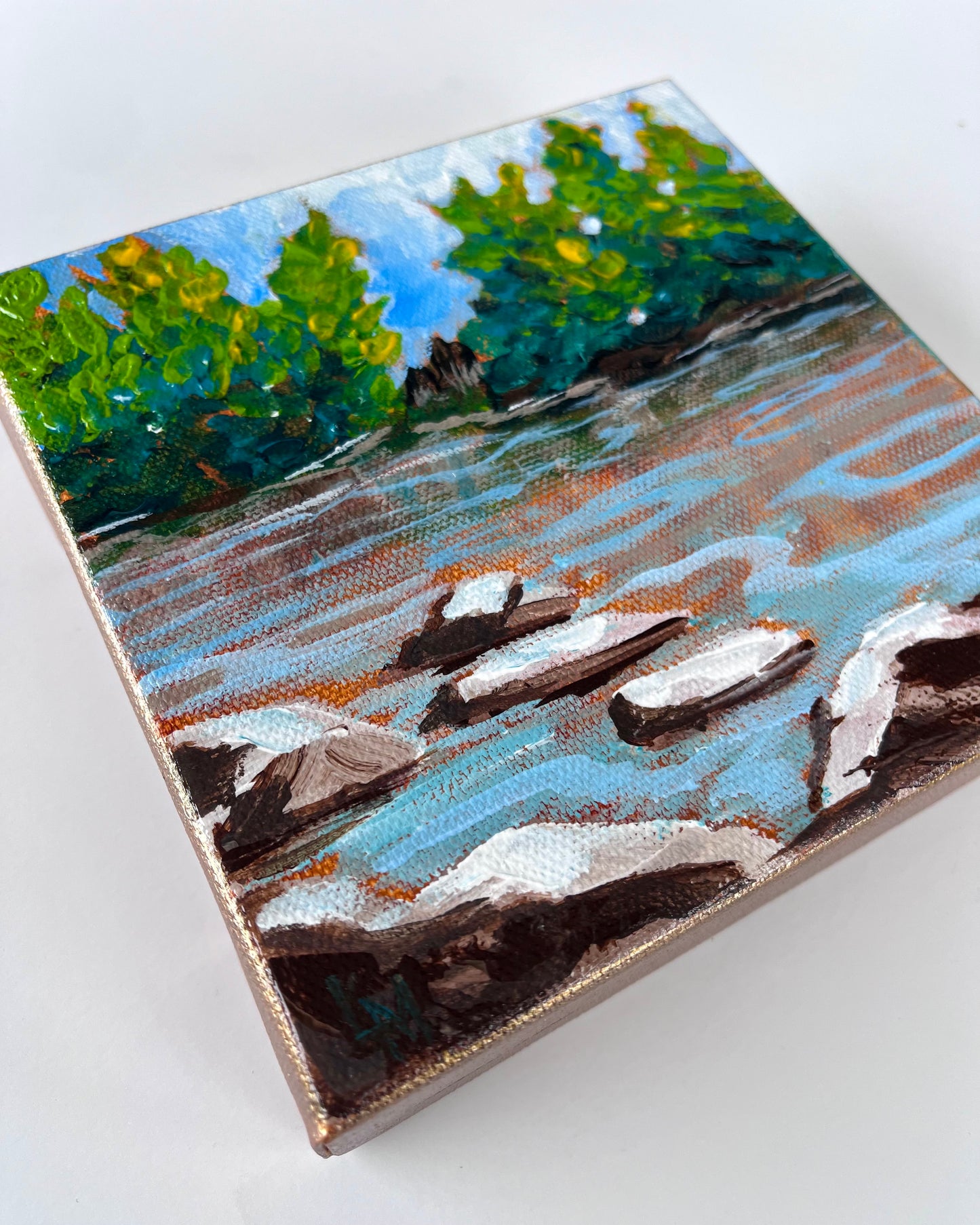 River Shoreline