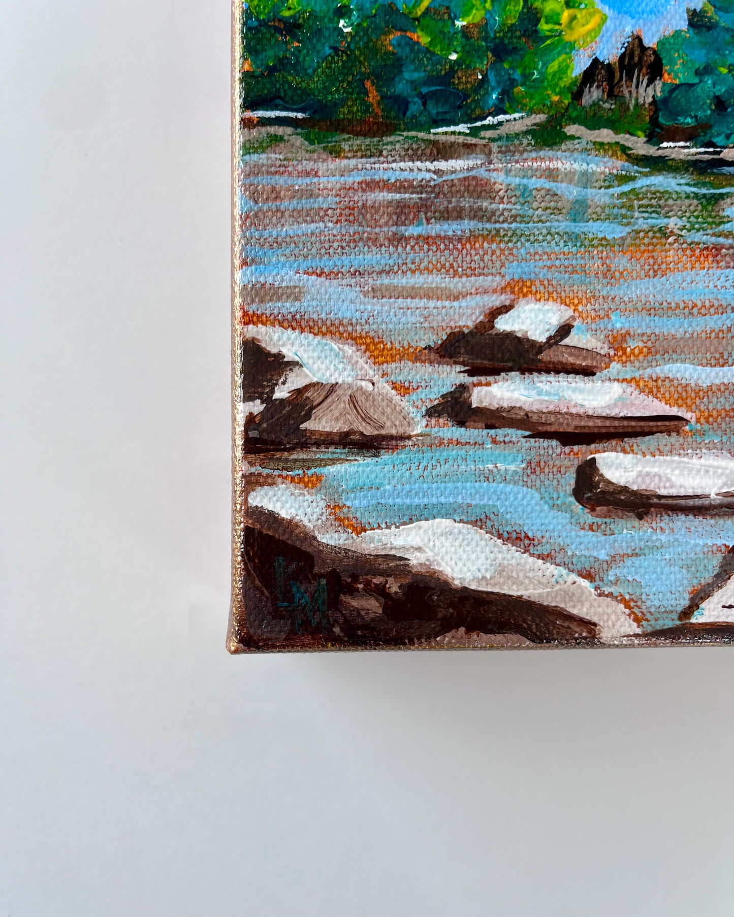 River Shoreline