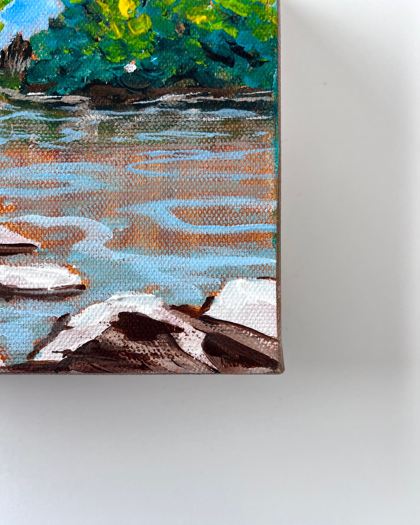 River Shoreline