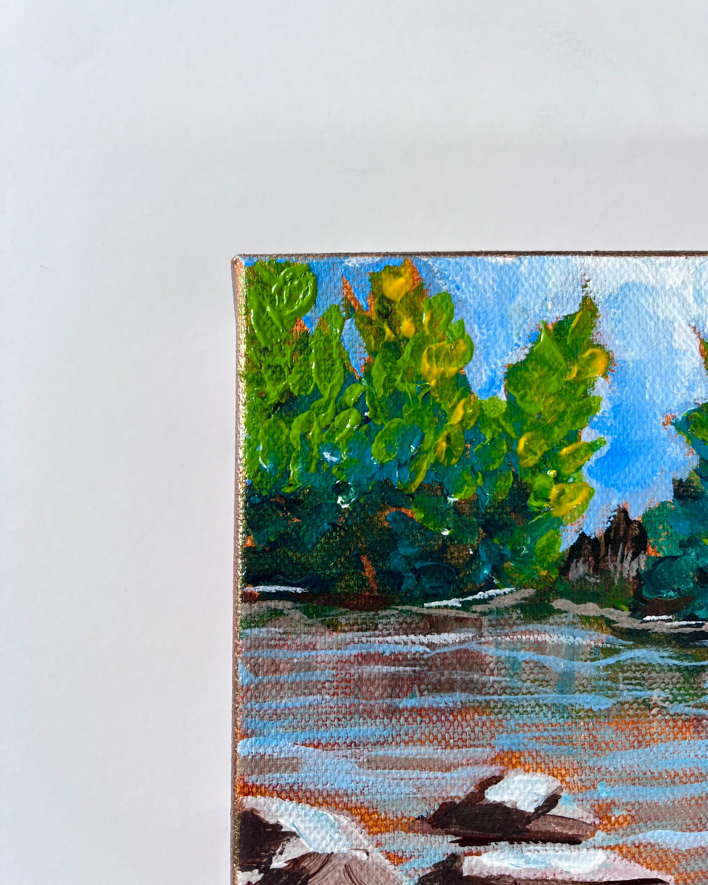 River Shoreline