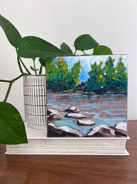 River Shoreline
